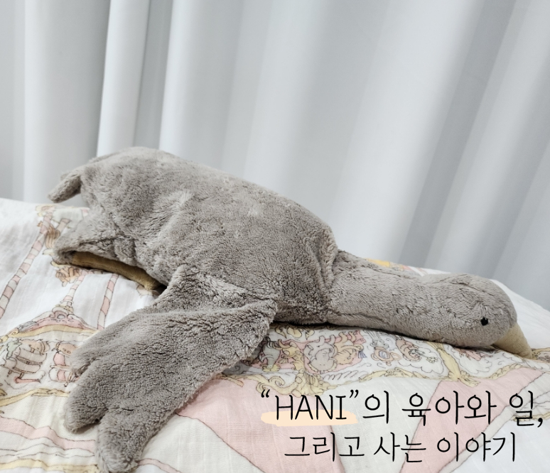[네이버 인플루언서 Hani] 마롱글라세 X 센저네이처웰트 체험단 후기