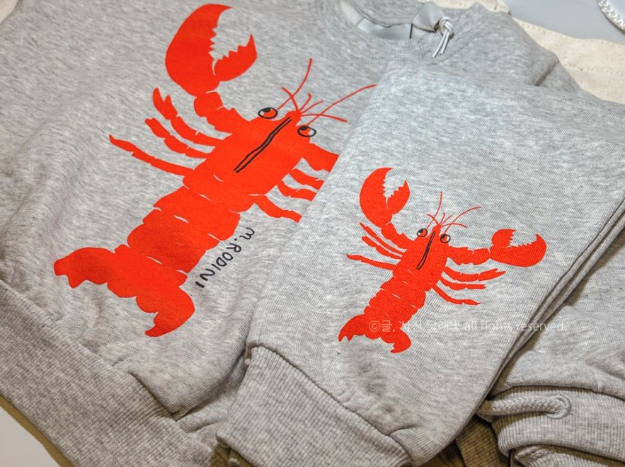 [네이버 인플루언서 달래빛] 마롱글라세 X 미니로디니 체험단 후기