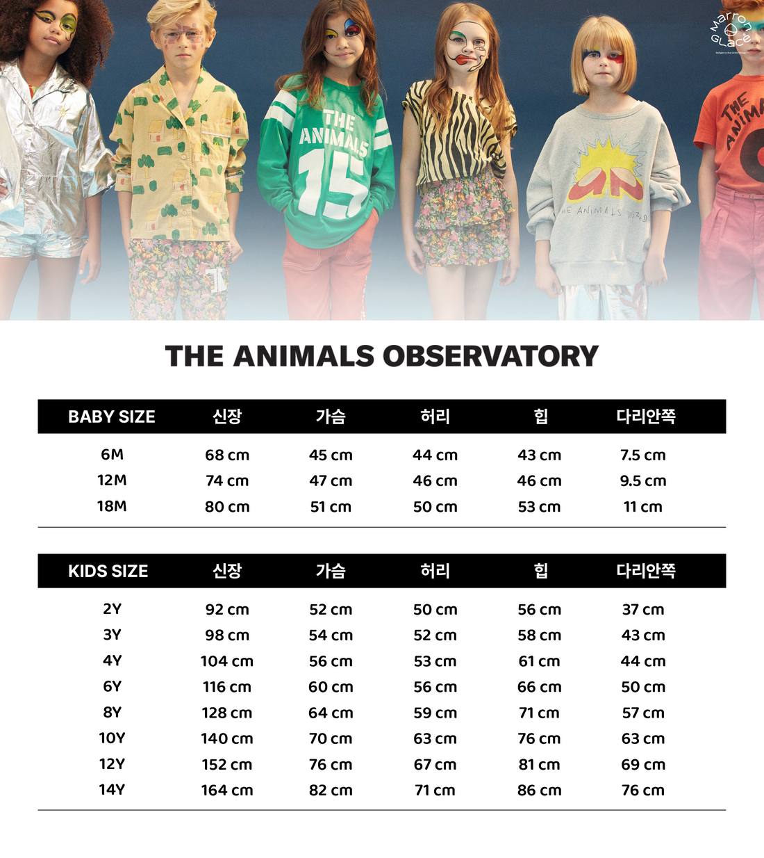 THE ANIMALS OBSERVATORY