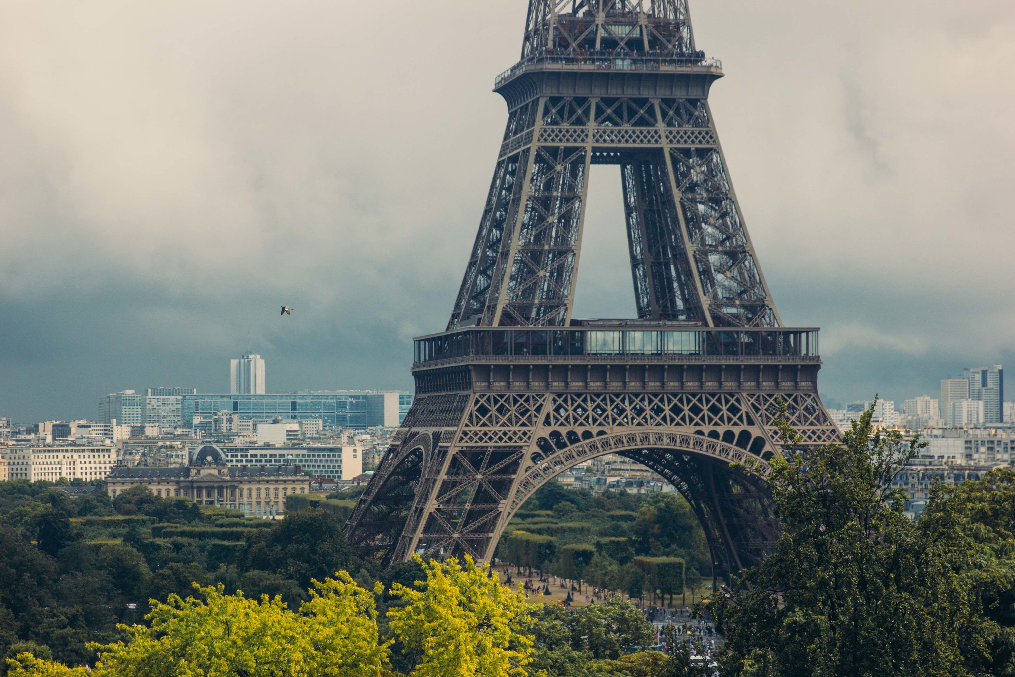 paris-eifeel-tower.jpg